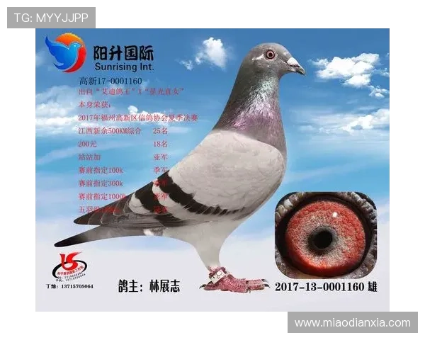 妥善保存AG国际地址登录入口地址，避免登录过程中遇到的各种问题