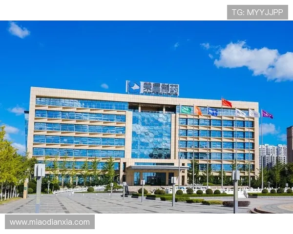 凯发・k8国际(中国)-登录首页：多渠道登录方式及账号安全保障措施