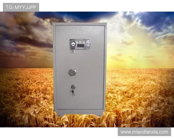 k8凯发旗舰厅官网登录入口:详细介绍官方入口的安全保障措施与登录流程指南 k8凯发旗舰厅官网登录入口:详细介绍官方入口的安全保障措施与登录流程指南